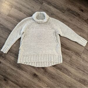 Project AJ117 Hudson Chunky Turtle Neck Sweater Size Medium